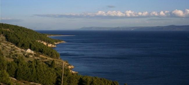 brac-4
